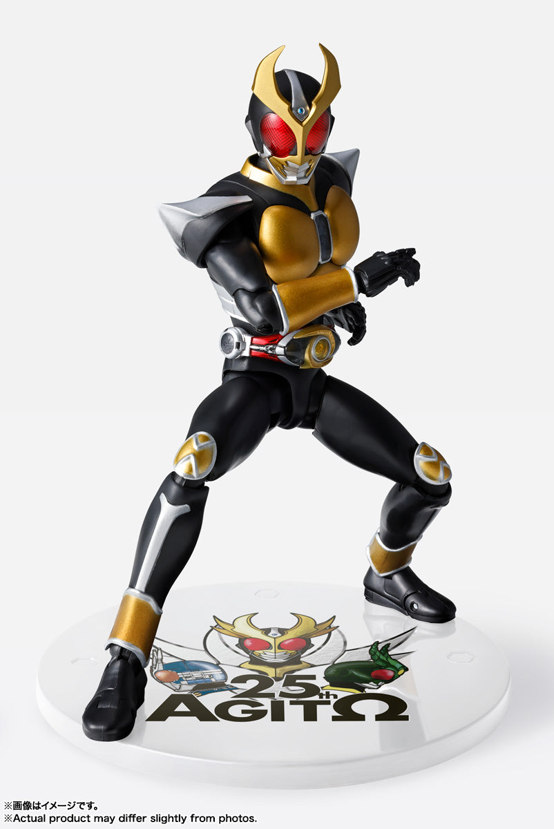 S.H.Figuarts(真骨彫製法) 仮面ライダーアギト グランドフォーム 25th Anniversary Ver.